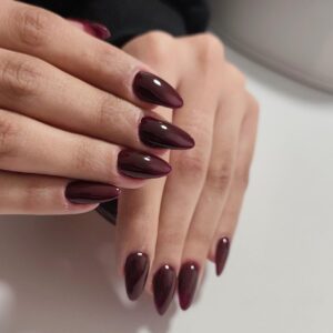 whatsapp image 2026 03 18 at 1.58.29 pm