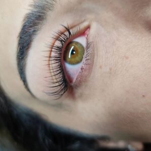 whatsapp image 2026 03 18 at 1.58.29 pm (4)