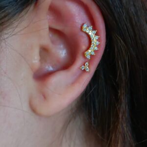 whatsapp image 2026 03 18 at 1.58.30 pm (2)