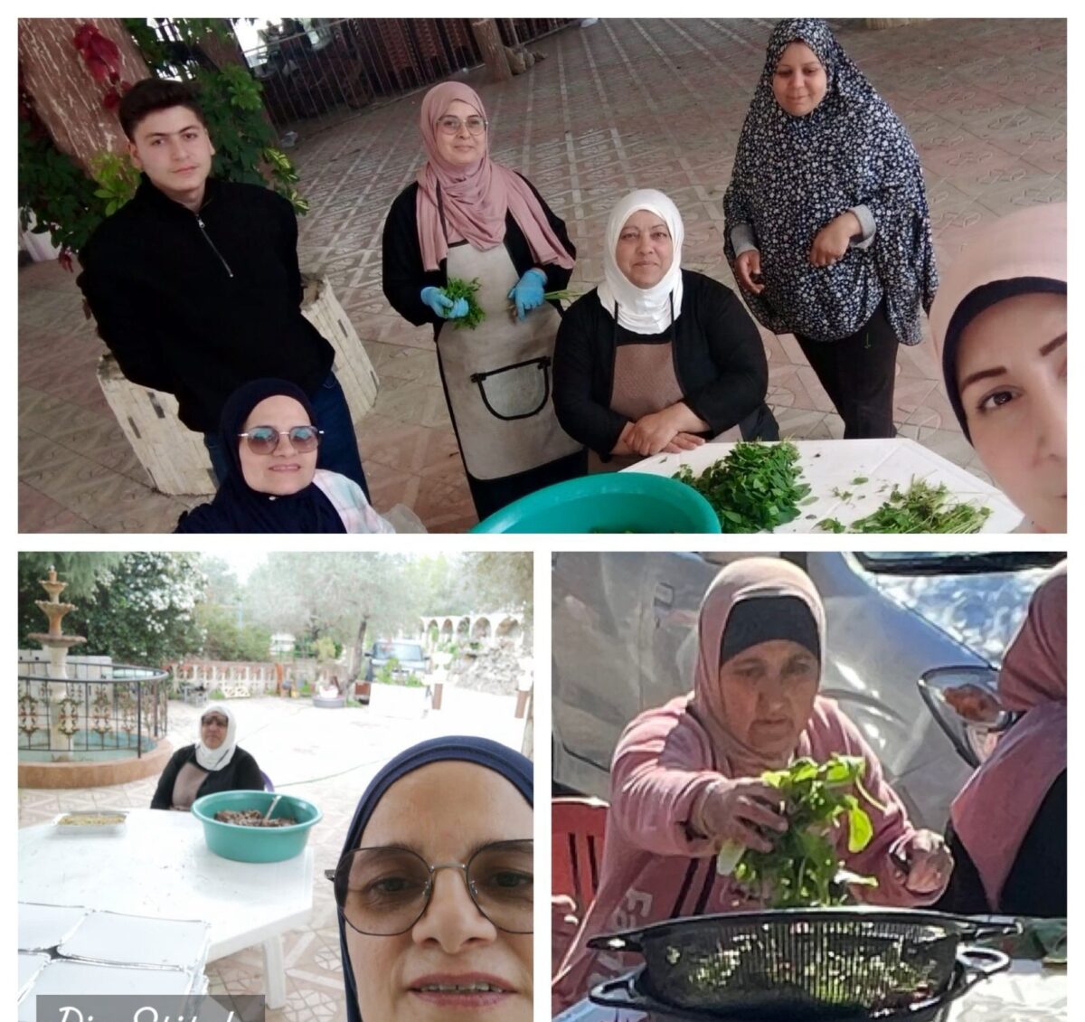 whatsapp image 2026 03 18 at 8.03.46 pm